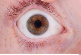 HD Eyes Fergal eye eyebrow eyelash iris pupil skin texture…